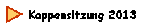 Kappensitzung 2013